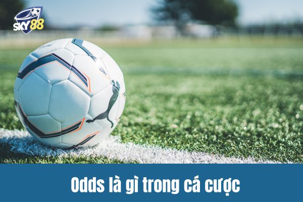 Odds là gì trong cá cược