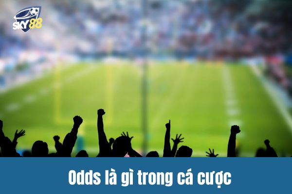 Odds là gì trong cá cược