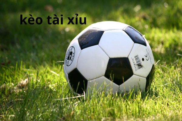 Tài xỉu là gì và cách tính kèo tài xỉu?