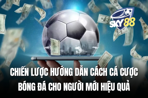 Hướng dẫn cách cá cược bóng đá cho người mới