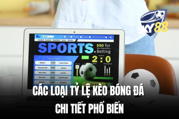 Các loại tỷ lệ kèo bóng đá chi tiết phổ biến