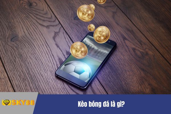 Cách đọc kèo bóng đá