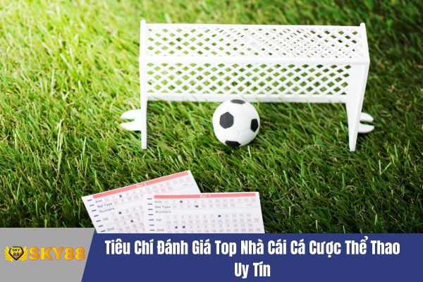 Top Nhà Cái Cá Cược Thể Thao Uy Tín
