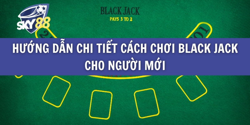 Hướng Dẫn Chi Tiết Cách Chơi Black Jack Cho Người Mới